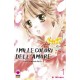 MILLE COLORI DELL'AMORE MANGA DREAM DI AI MINASE n. 1