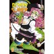 DEMON SLAYER KIMETSU NO YAIBA DI KOYOHARU GOTOUGE n. 14