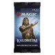 BUSTE MAGIC KALDHEIM HASBRO WIZARDS