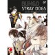 BUNGO STRAY DOGS DI ASAGIRI E HARUKAWA ristampa n. 7