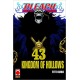 BLEACH RISTAMPA n. 43