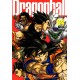 DRAGON BALL PERFECT n. 34