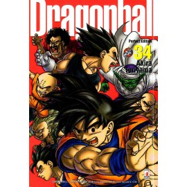 DRAGON BALL PERFECT n. 34