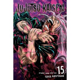 JUJUTSU KAISEN GEGE AKUTAMI n. 15