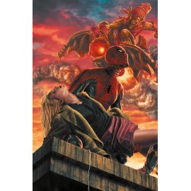 AMAZING SPIDER MAN VARIANT LEE BERMEJO n. 14