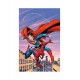 SPIDER MAN E SUPERMAN VARIANT CAPULLO n. 1