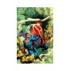 SPIDER MAN E SUPERMAN VARIANT GARY FRANK n. 1