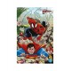 SPIDER MAN E SUPERMAN VARIANT K ANDREWS n. 1