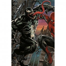 AMAZING SPIDERMAN VARIANT AMAZING VISIONS DI LEE BERMEJO n. 17