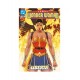 WONDER WOMAN DC UNIVERSE 2024 n. 29